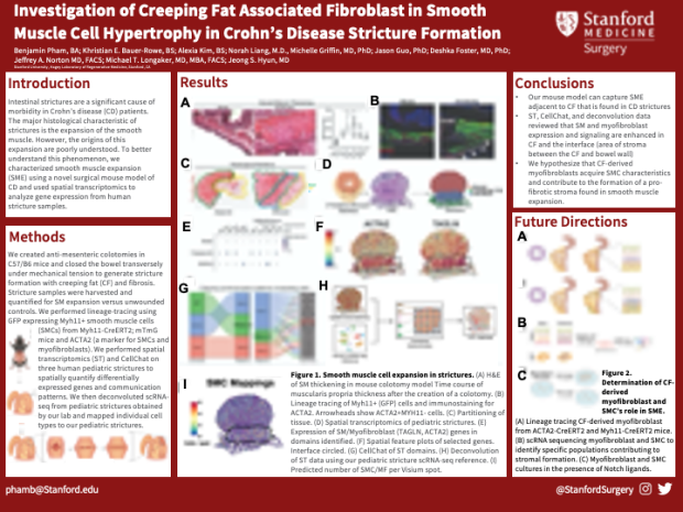Poster: Investigation of Creeping Fat Associated Fibroblasts in Smooth Muscle Cell Hypertrophy in Crohn’s Disease Stricture Formation